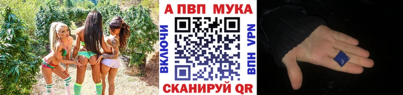 А ПВП СК КРИС Купить закладки Мураши