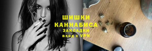 дмт Кинешма
