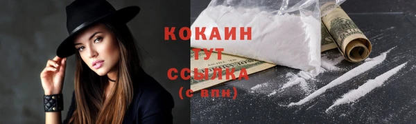 дмт Кинешма