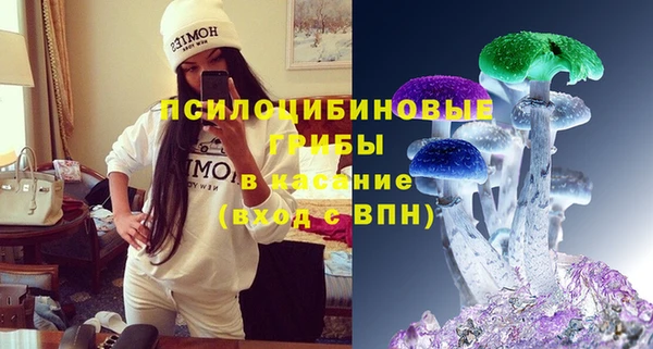 дмт Кинешма