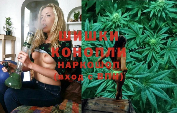 дмт Кинешма