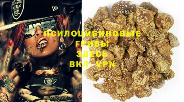 дмт Кинешма