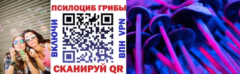 Купить закладки  Мураши  Псилоцибиновые грибы Magic Shrooms 